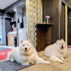 🔴麻布十番・定期清掃1日3.5時間¥5,500🔴週2日〜OK🔴勤務時間は8：30〜17：00の間で自由‼️の画像