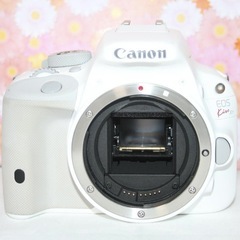シャッター数564回！❤️Canon EOS Kiss X7❤️スマホ転送 ホワイト❤️キャノンの画像