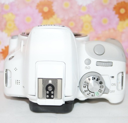 シャッター数564回！❤️Canon EOS Kiss X7❤️スマホ転送 ホワイト❤️キャノン