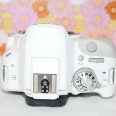 シャッター数564回！❤️Canon EOS Kiss X7❤️スマホ転送 ホワイト❤️キャノンの画像