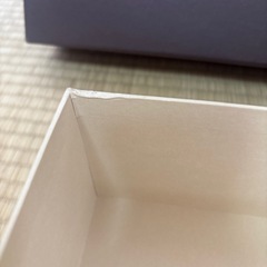 ルイヴィトン大箱
の画像