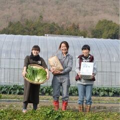 10月 5日(日) 10:00～12:00 🍠 本庄で芋掘り体験しませんか？ 🍠 - メンバー募集