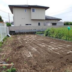 10月 5日(日) 10:00～12:00 🍠 本庄で芋掘り体験しませんか？ 🍠 − 埼玉県