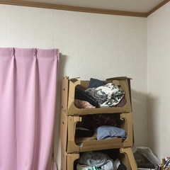 ダンボールピッキングボックス10枚入りの画像