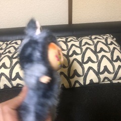 ラブブ シークレット 新品未使用 の画像