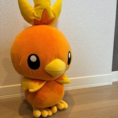 被れるピクミン、アチャモ、ベロリンガの画像