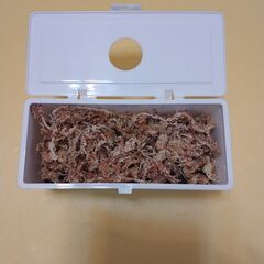 ヒョウモントカゲモドキ等産卵箱セットはいかがの画像