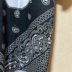 ペイズリー 13 ブラック Mの画像
