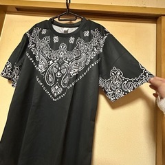 ペイズリー柄 Tシャツ XLの画像