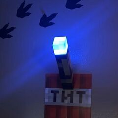 マイクラたいまつライトの画像