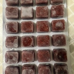 冷凍赤虫の画像
