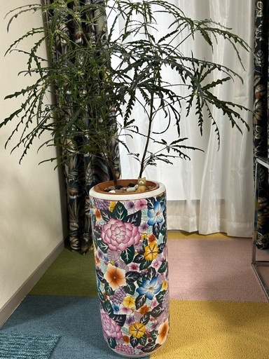 観葉植物、インテリア、陶器
