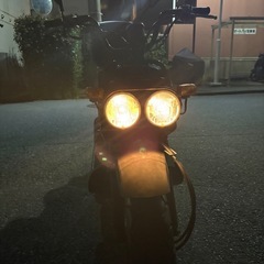 ズーマー50の画像