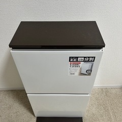 ゴミ箱　薄型ワイドタイプ　2段の画像