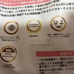 フード切り替えの為の画像