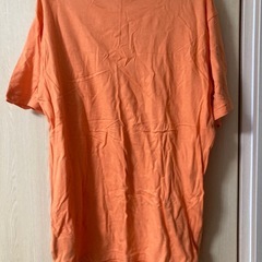 Champion Tシャツ オレンジの画像