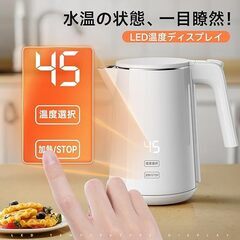 1.0L ステンレス製電気ケトル の画像