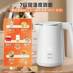 1.0L ステンレス製電気ケトル の画像
