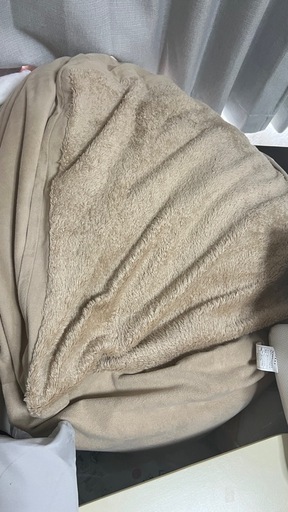 ビーズクッション　ニトリ