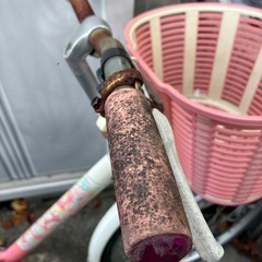 小学生女子用　じて自転車の画像