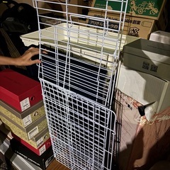 ラビんぐ 大きな扉のラビットハウス ミルキーホワイトの画像
