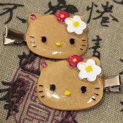 ヘアピンの画像