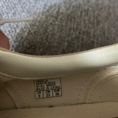 vansスニーカーの画像