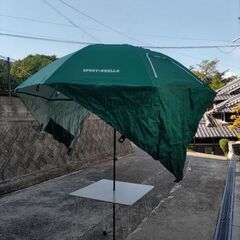 パラソルの画像