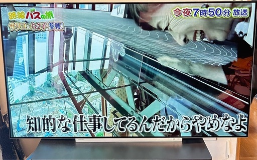 REGZA 有機ELテレビ　65X910