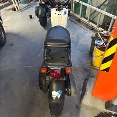 ホンダ　ズーマー　実働車　調子いいですいいですの画像