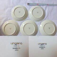 ungaro大皿5枚の画像
