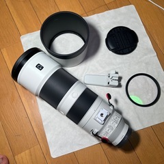 Sony スーパーテレズームレンズ 200-600mmの画像