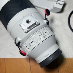 Sony スーパーテレズームレンズ 200-600mmの画像