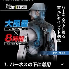 タジマ　風雅　(サバゲーにも！)の画像