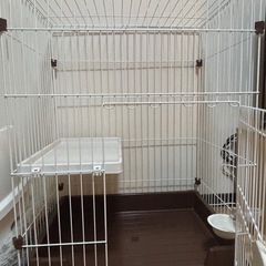 【超美品】キャットサークルの画像