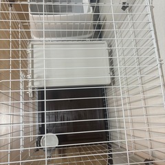 【超美品】キャットサークルの画像