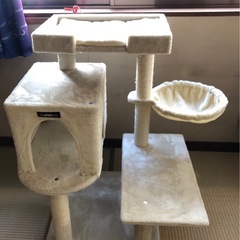 新品同様　美品 猫タワー の画像