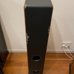 スピーカー　audio pro AVANTO FS-20 の画像