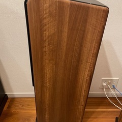スピーカー　audio pro AVANTO FS-20 の画像