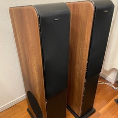 スピーカー　audio pro AVANTO FS-20 の画像