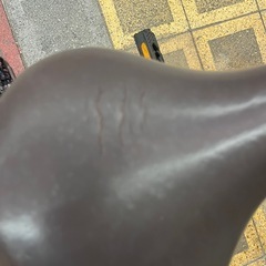 配達可能　BRIDGESTONE 三輪電動自転車　バッテリー充電器付の画像