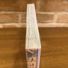 【✨レア✨】大正學生愛妻家　小冊子付き特装版の画像