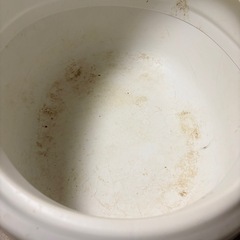 ね猫トイレの画像