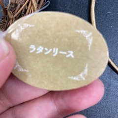 リースの画像
