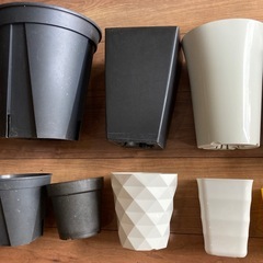 プラ鉢 10個セットの画像