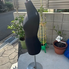トルソー マネキンの画像