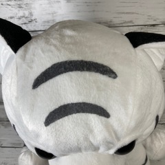 よちよちトラの赤ちゃん　ホワイトタイガー　特大サイズの画像