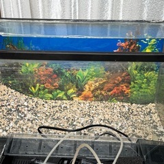 水槽セット60×28の画像