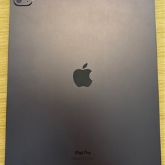 iPad Pro M4 256GB セルラーモデル +おまけおまけの画像