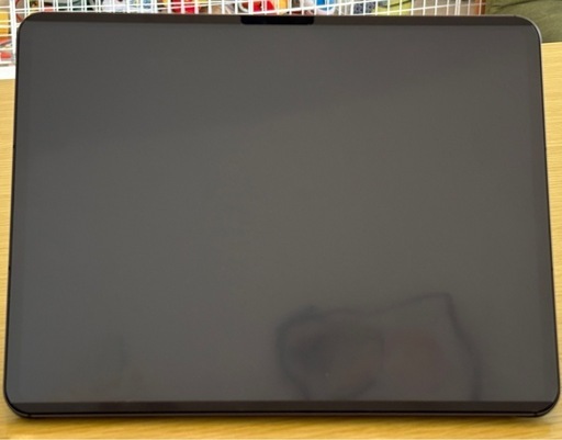 iPad Pro M4 256GB セルラーモデル +おまけおまけ